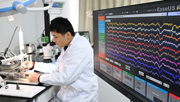 化工板块涨势扩大