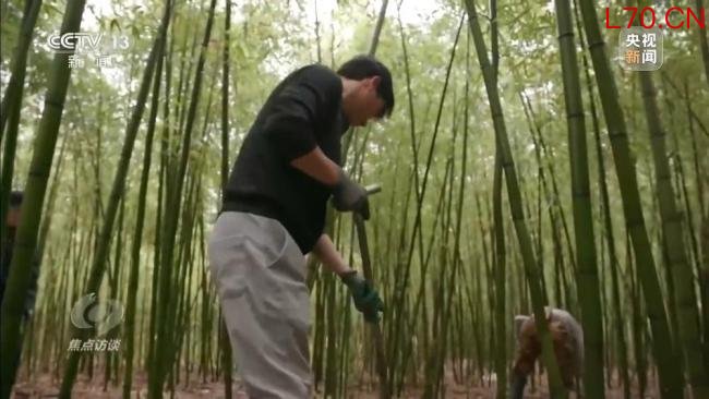 救钱袋子如何鼓起来 三大方向明确 增收路径探索中