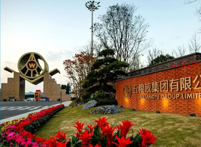 拆解五粮液年报:百亿回购的逻辑是什么
