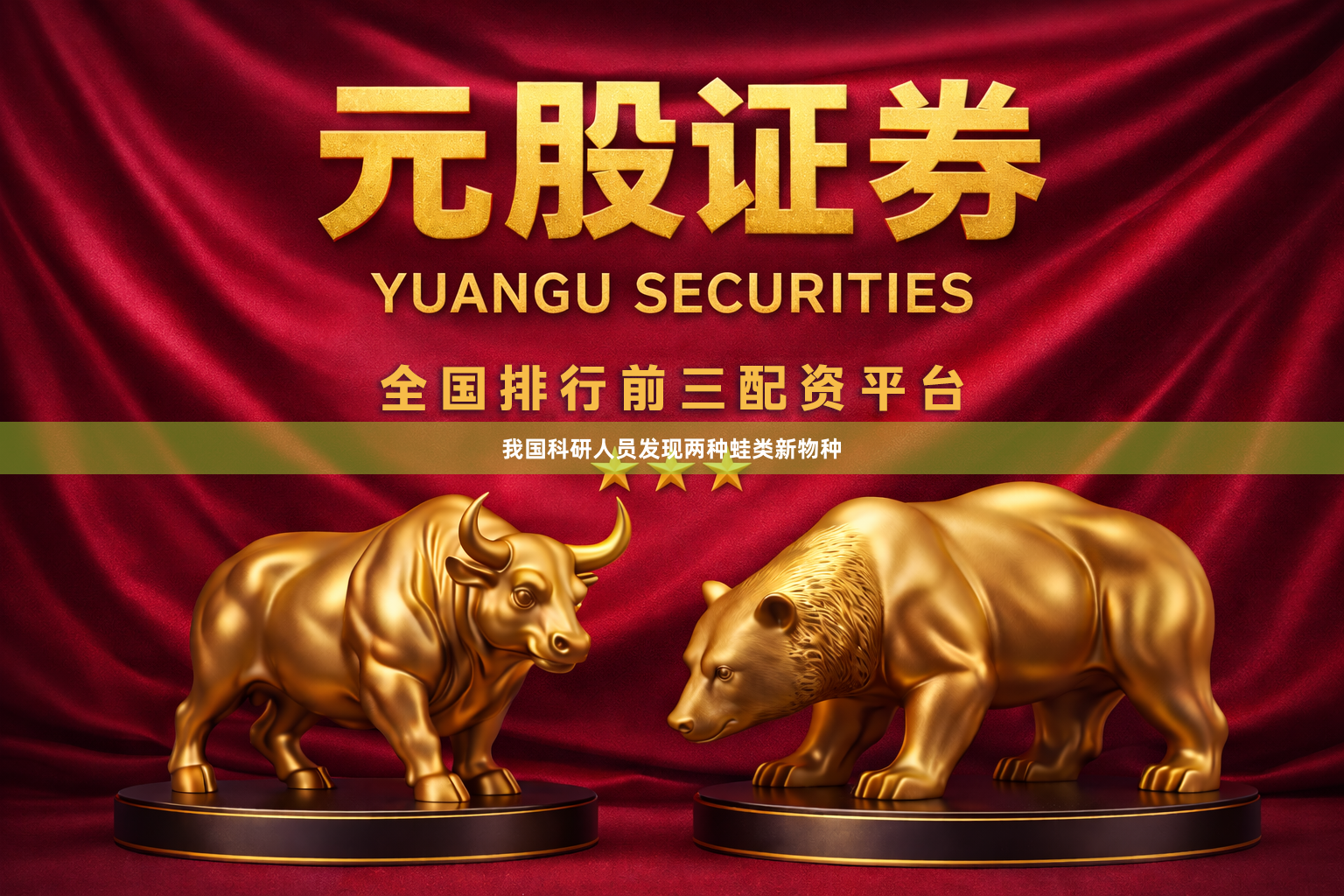 我国科研人员发现两种蛙类新物种