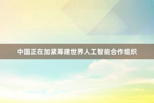 中国正在加紧筹建世界人工智能合作组织