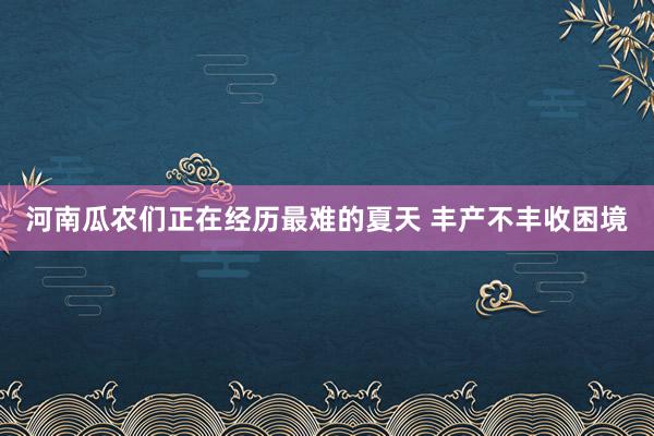 河南瓜农们正在经历最难的夏天 丰产不丰收困境