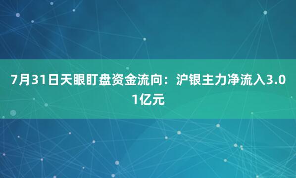 7月31日天眼盯盘资金流向：沪银主力净流入3.01亿元