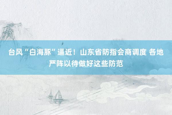 台风“白海豚”逼近！山东省防指会商调度 各地严阵以待做好这些防范