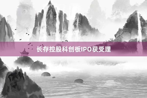 长存控股科创板IPO获受理