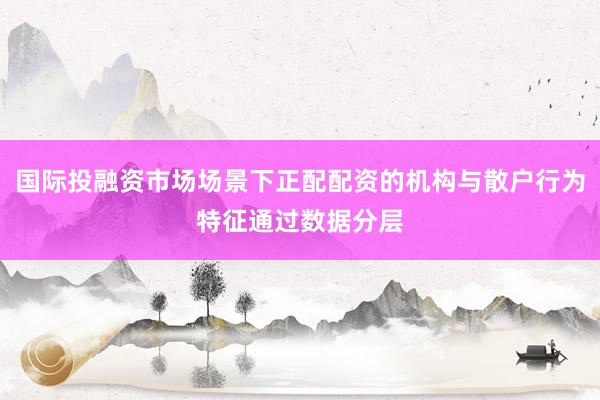 国际投融资市场场景下正配配资的机构与散户行为特征通过数据分层