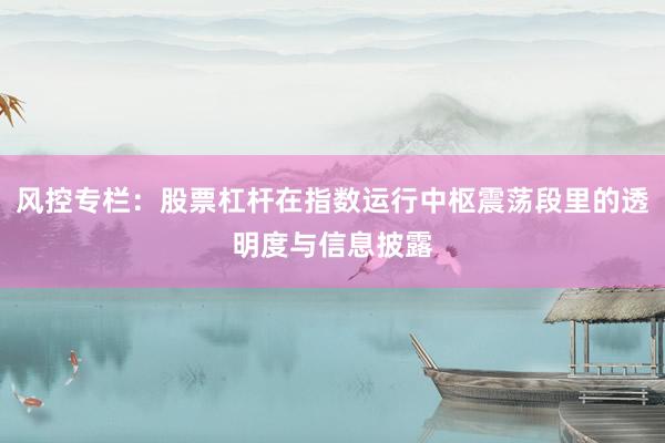 风控专栏:股票杠杆在指数运行中枢震荡段里的透明度与信息披露