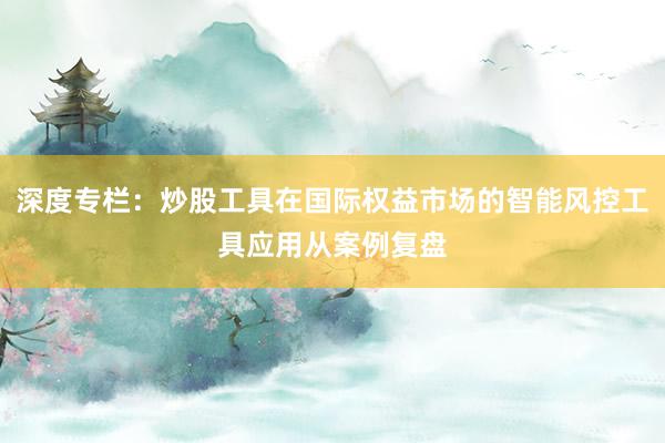 深度专栏：炒股工具在国际权益市场的智能风控工具应用从案例复盘
