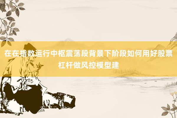 在在指数运行中枢震荡段背景下阶段如何用好股票杠杆做风控模型建