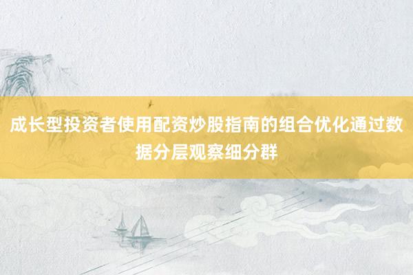 成长型投资者使用配资炒股指南的组合优化通过数据分层观察细分群