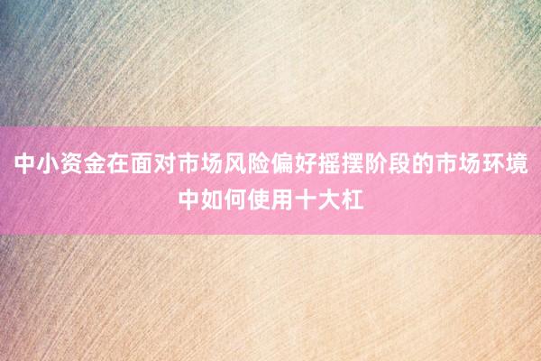 中小资金在面对市场风险偏好摇摆阶段的市场环境中如何使用十大杠