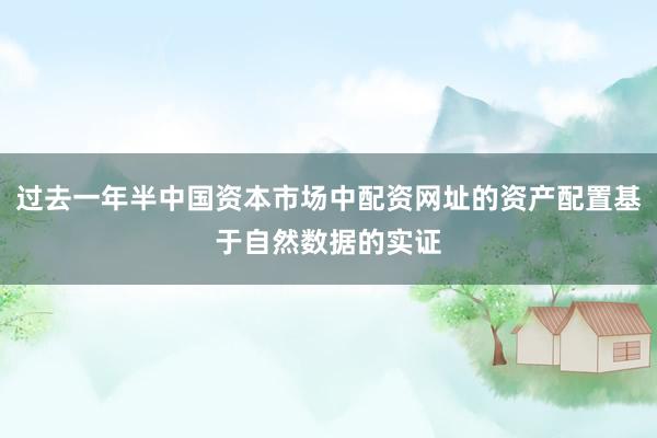 过去一年半中国资本市场中配资网址的资产配置基于自然数据的实证