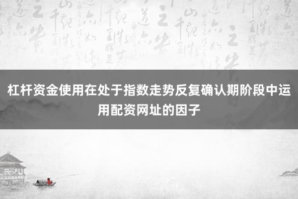 杠杆资金使用在处于指数走势反复确认期阶段中运用配资网址的因子