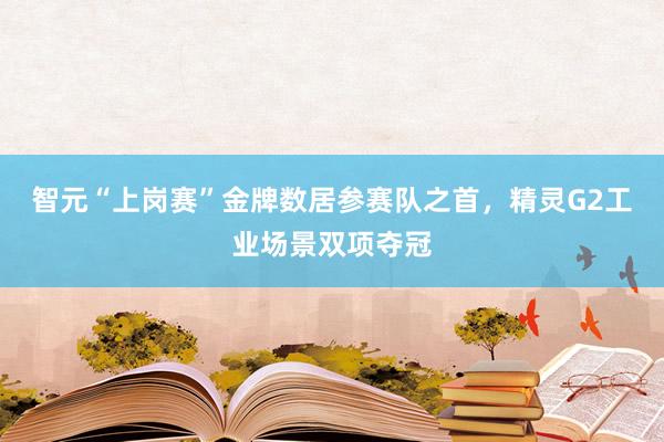 智元“上岗赛”金牌数居参赛队之首，精灵G2工业场景双项夺冠