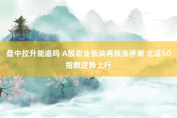盘中拉升能追吗 A股农业板块再掀涨停潮 北证50指数逆势上行