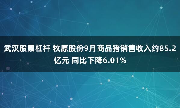 武汉股票杠杆 牧原股份9月商品猪销售收入约85.2亿元 同比下降6.01%