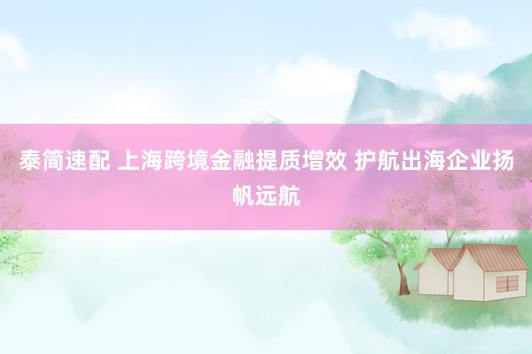 泰简速配 上海跨境金融提质增效 护航出海企业扬帆远航